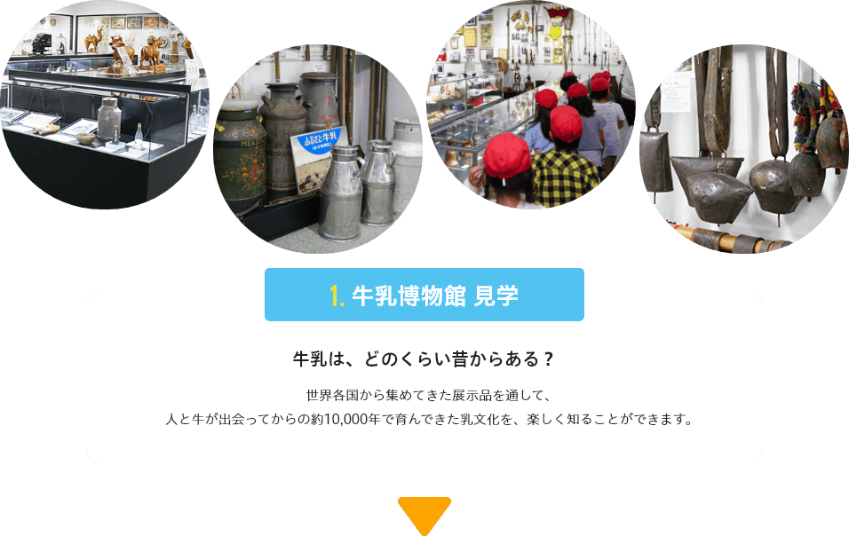 牛乳は、どのくらい昔からある?
世界各国から集めてきた展示品を通して、人と牛が出会ってからの約10,000年で育んできた乳文化を、楽しく知ることができます。