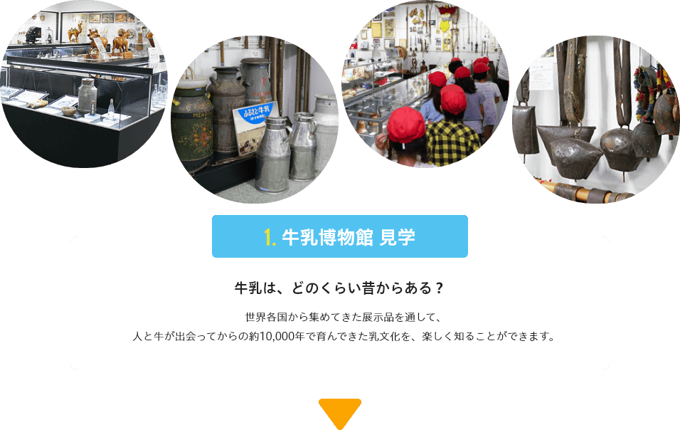 
                             牛乳は、どのくらい昔からある？
                             世界各国から集めてきた展示品を通して、人と牛が出会ってからの約10,000年で育んできた乳文化を、楽しく知ることができます。
