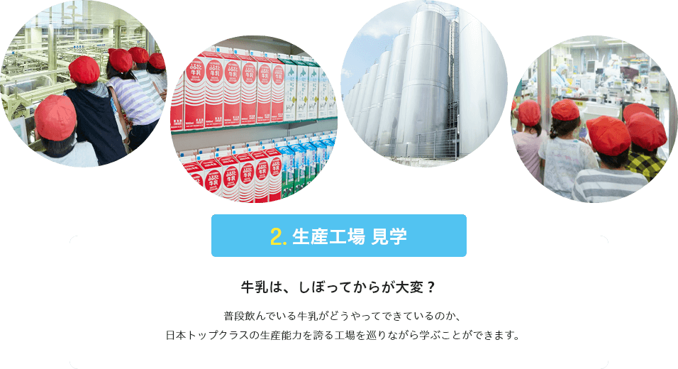牛乳は、しぼってからが大変?
普段飲んでいる牛乳がどうやってできているのか、日本トップクラスの生産能力を誇る工場を巡りながら学ぶことができます。
