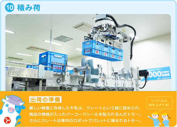 10.積み荷 出荷の準備 厳しい検査に合格した牛乳は、専用のロボットでクレートという箱に詰められ、商品の情報が入ったバーコードシールを貼られるんだトモ~。