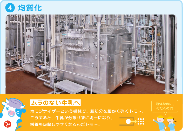 4.均質化 ムラのない牛乳へ ホモジナイザーという機械で、脂肪分を細かく砕くトモ~。こうすると、牛乳が分離せずに均一になり、栄養も吸収しやすくなるんだトモ~。