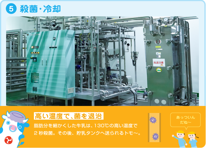 5.殺菌・冷却 高い温度で、菌を退治 脂肪分を細かくした牛乳は、130°Cの高い温度で2秒殺菌。その後、貯乳タンクへ送られるトモ~。