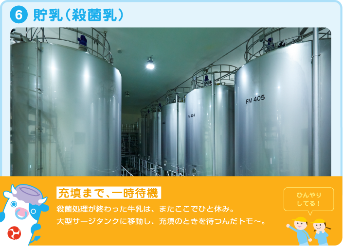 6.貯乳(殺菌乳) 充填まで、一時待機 殺菌処理が終わった牛乳は、またここでひと休み。大型サージタンクに移動し、充填のときを待つんだトモ~。