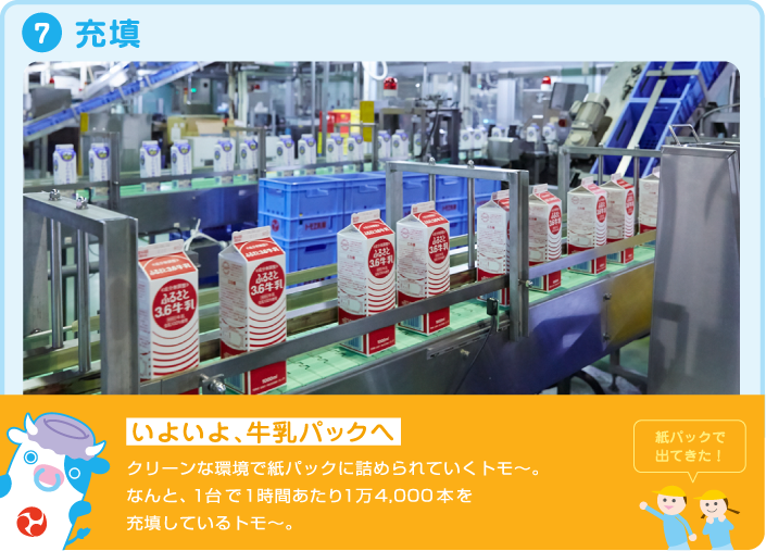 7.充填 いよいよ、牛乳パックへ クリーンな環境で紙パックに詰められていくトモ~。なんと、1時間あたり1万4,000本を充填しているトモ~。